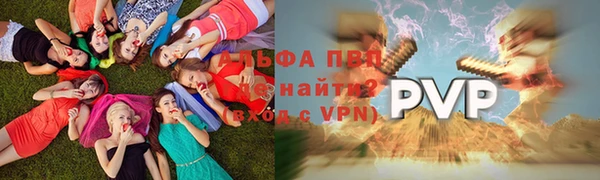 спиды Семёнов