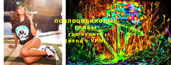 стафф Семилуки