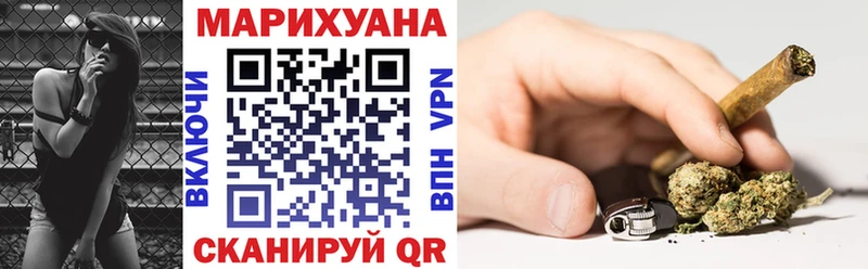 Шишки марихуана гибрид Судак